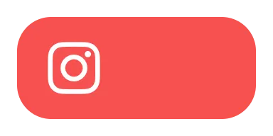 2x1 Instagram Widget